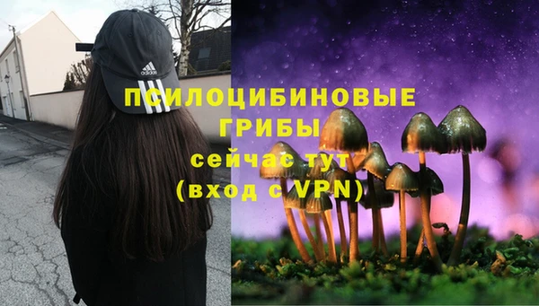 круглые Гусь-Хрустальный