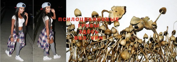 круглые Гусь-Хрустальный