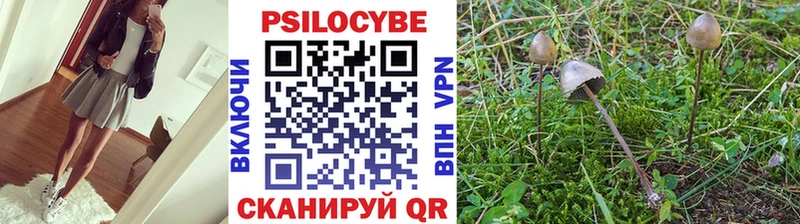 Галлюциногенные грибы Cubensis  Пятигорск 